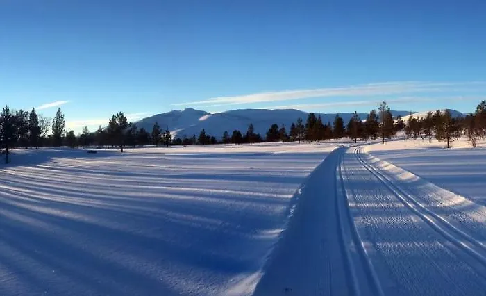 Frich's Oppdalsporten Motel Fagerhaug