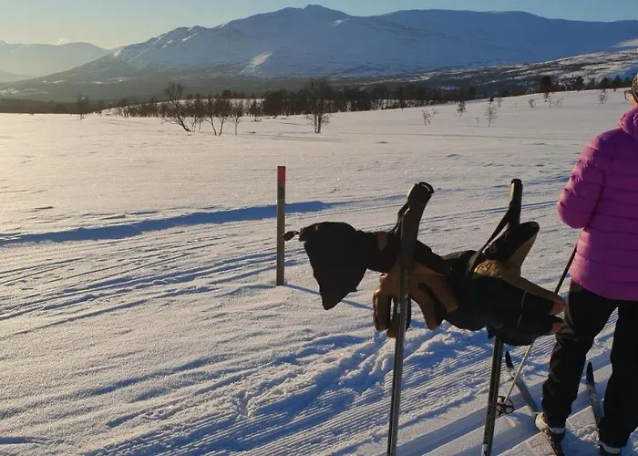 Motel Frich's Oppdalsporten Fagerhaug