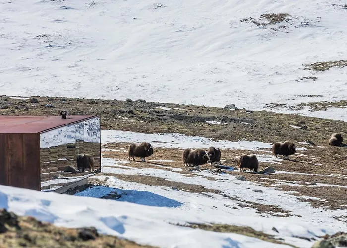 Motel Frich's Oppdalsporten *